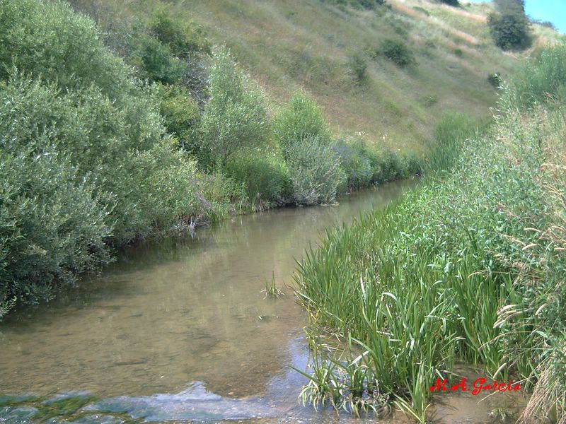 Foto de Respenda de la Peña (Palencia), España