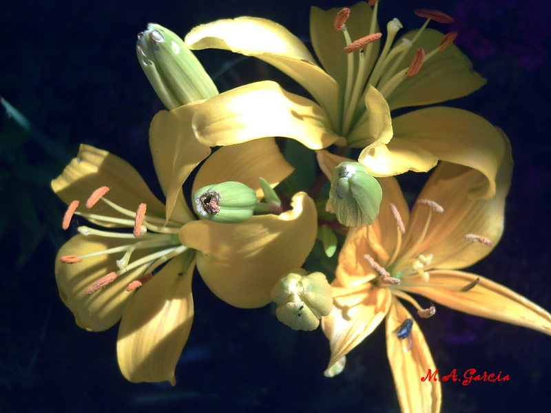 Foto de Respenda de la Peña (Palencia), España