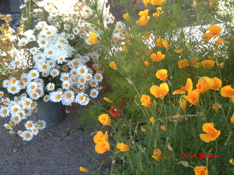 Foto de Respenda de la Peña (Palencia), España