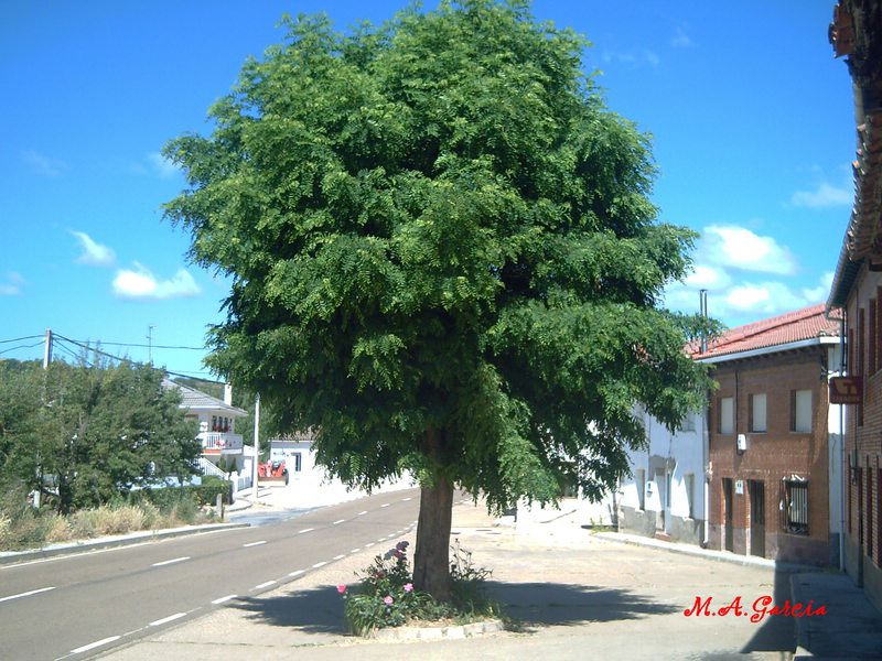 Foto de Respenda de la Peña (Palencia), España