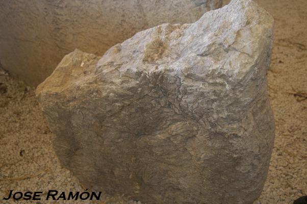 Foto de Villamartín (Cádiz), España