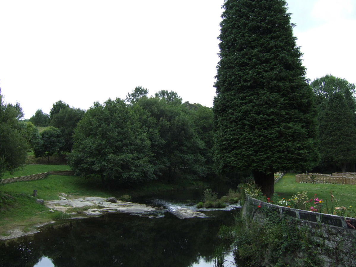 Foto de O Carballiño (Ourense), España
