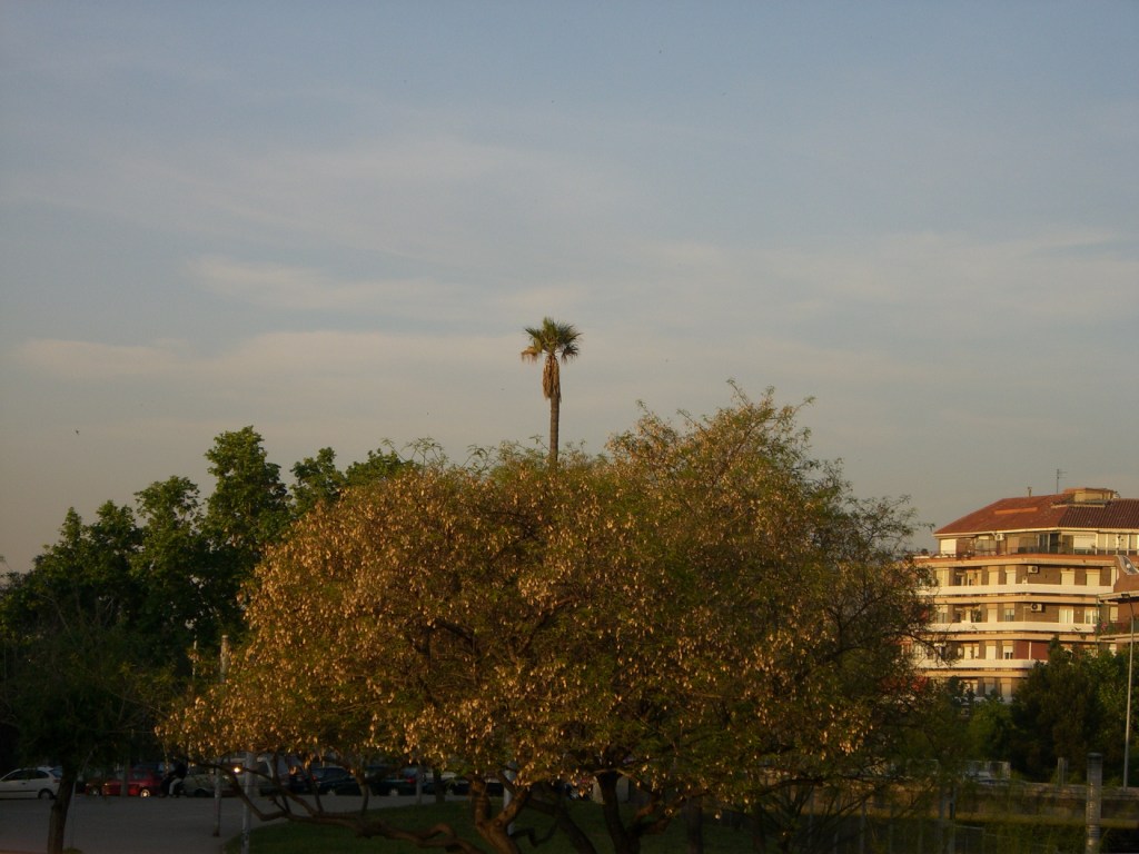 Foto de Barcelona (Cataluña), España