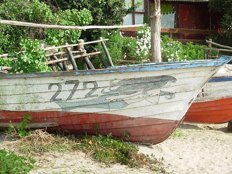 Foto de Horcon, Chile