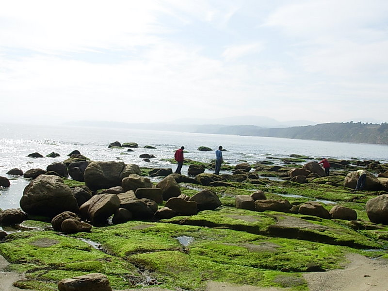 Foto de Horcon, Chile