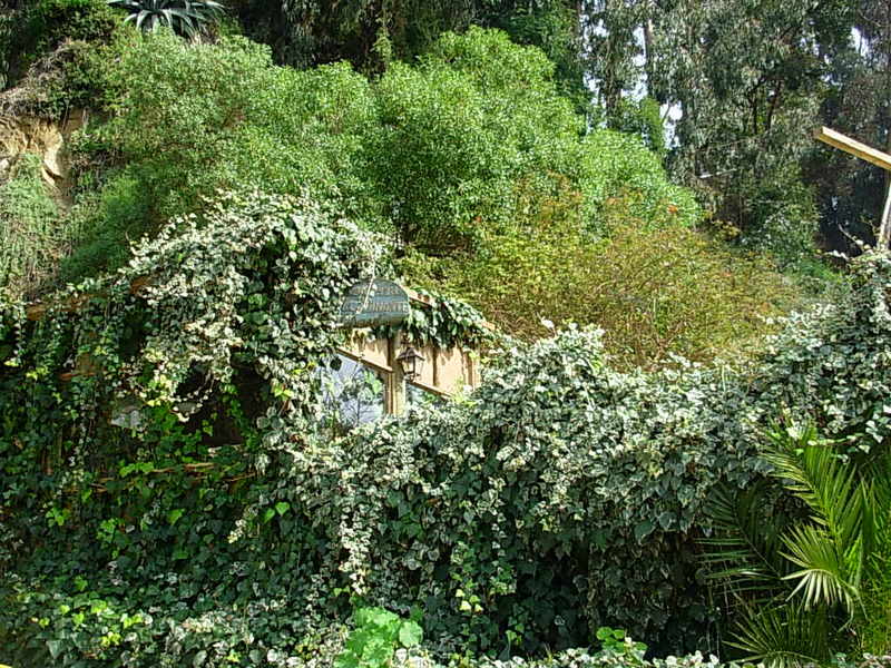 Foto de Horcon, Chile