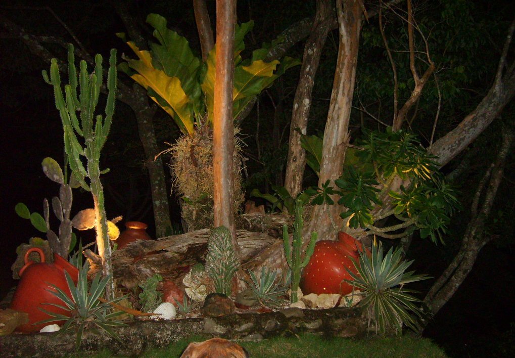 Foto de Alajuela, Costa Rica