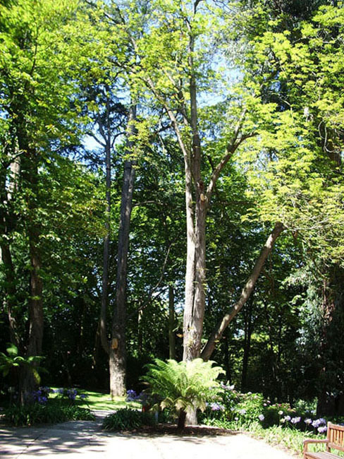 Foto de Gijón (Asturias), España