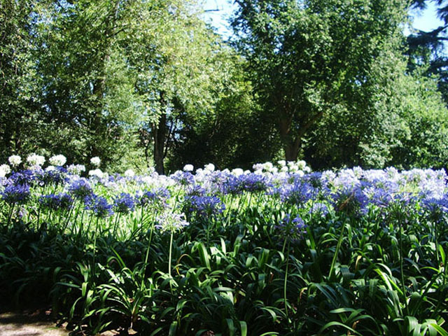 Foto de Gijón (Asturias), España