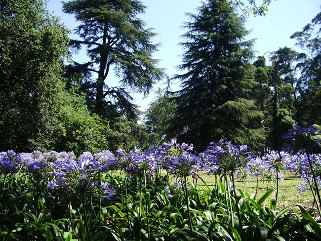 Foto de Gijón (Asturias), España