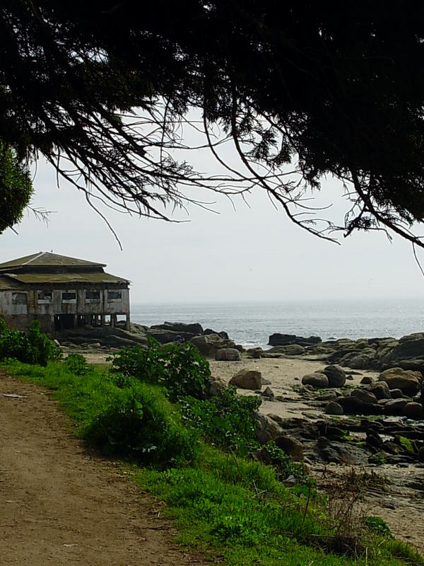 Foto de Horcon, Chile