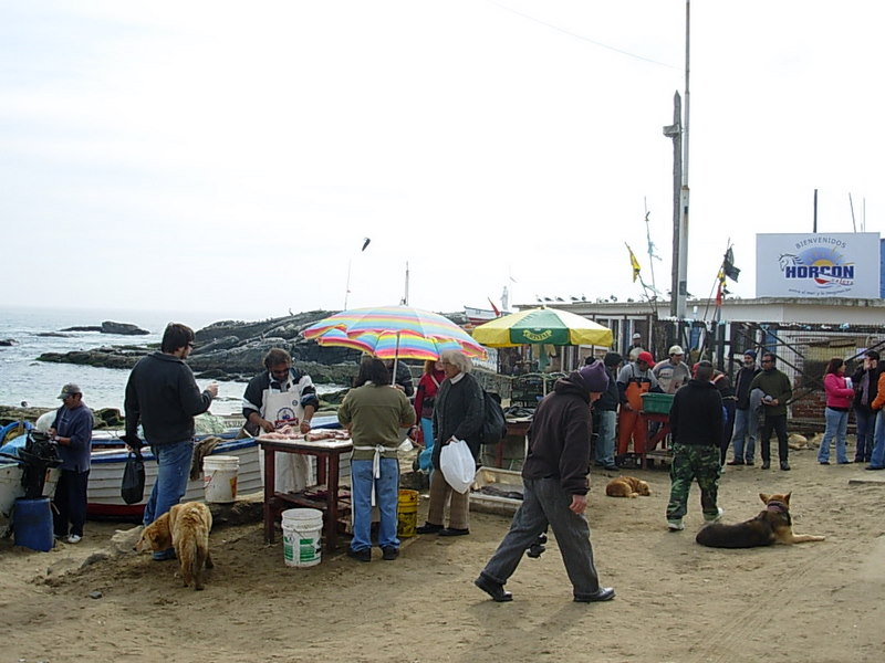 Foto de Horcon, Chile