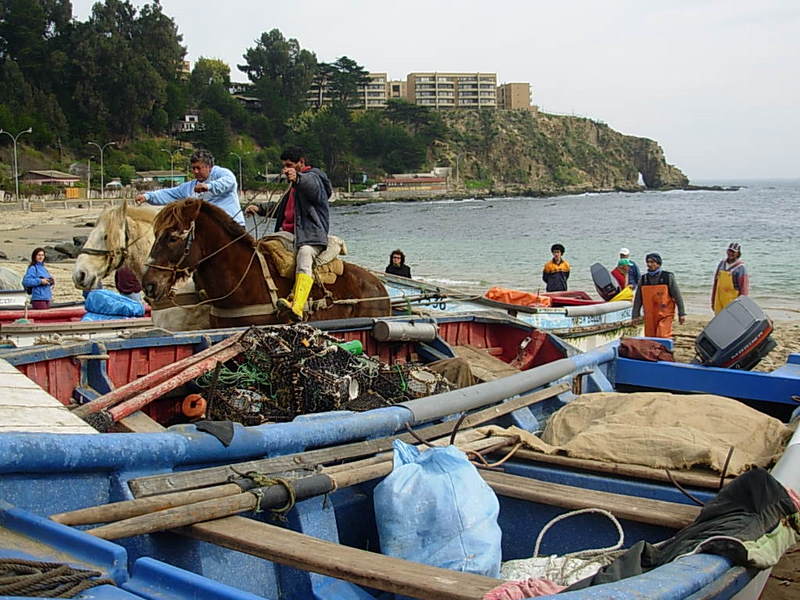 Foto de Horcon, Chile