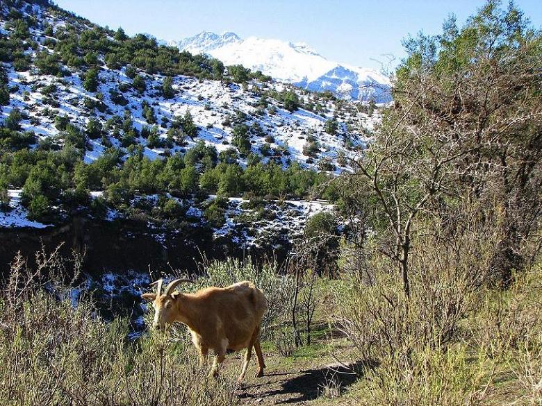 Foto de San José de Maipo, Chile