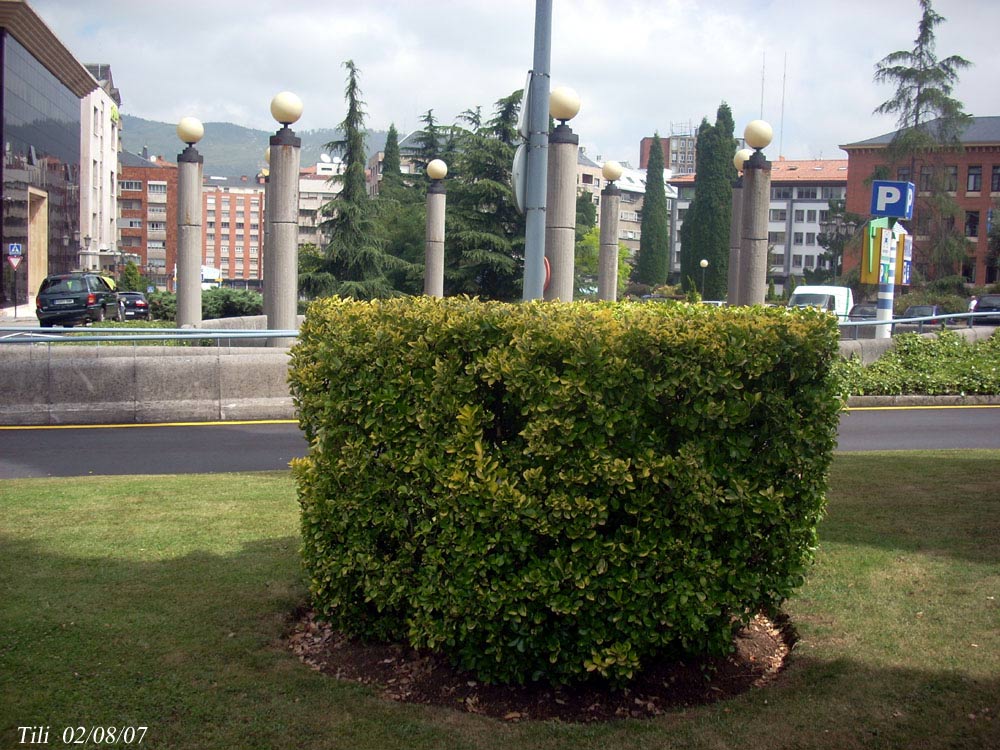 Foto de Oviedo (Asturias), España