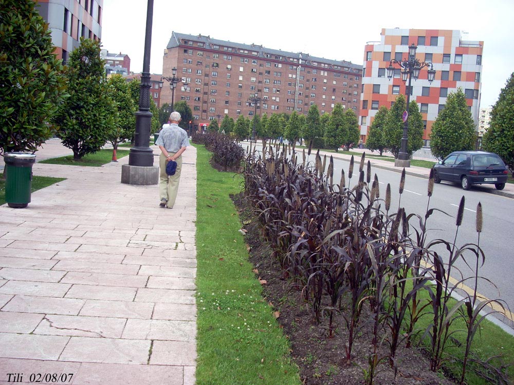 Foto de Oviedo (Asturias), España