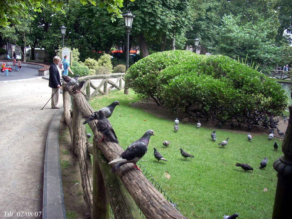 Foto de Oviedo (Asturias), España