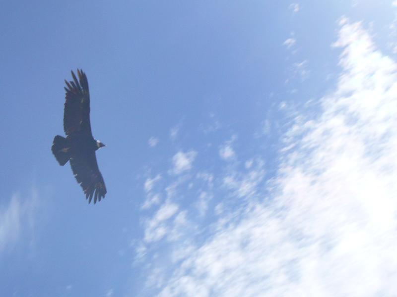 Foto de Arequipa, Perú