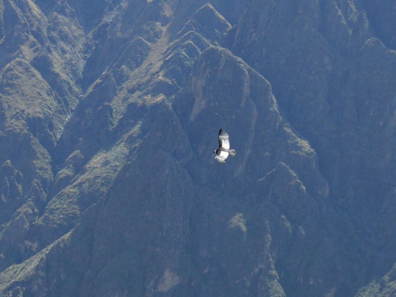 Foto de Arequipa, Perú