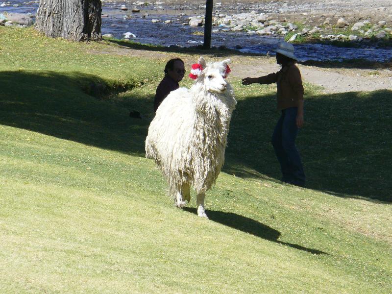 Foto de Arequipa, Perú