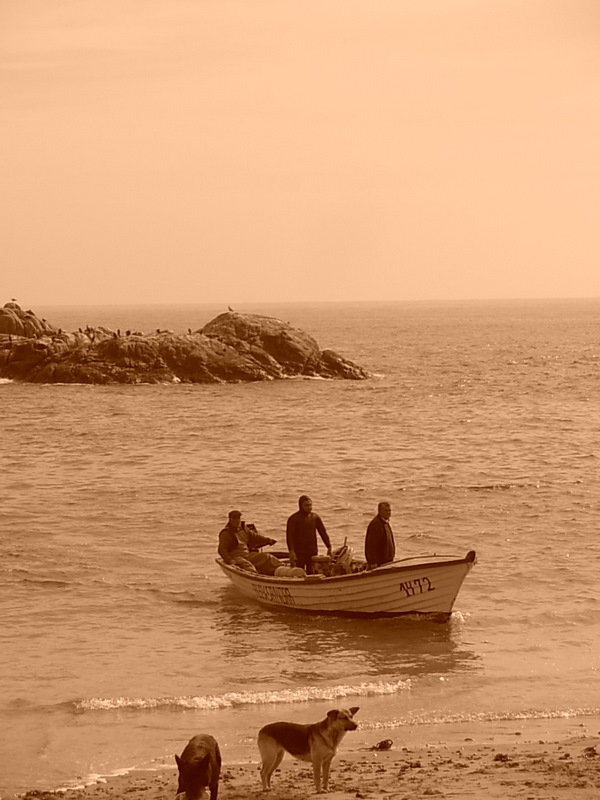 Foto de Horcon, Chile