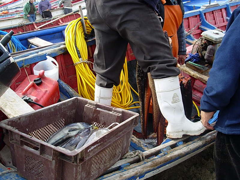 Foto de Horcon, Chile