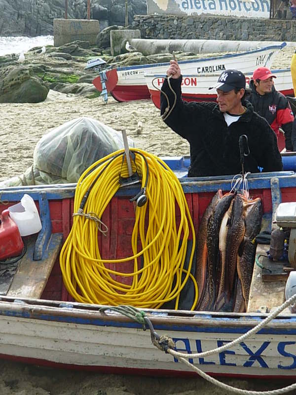 Foto de Horcon, Chile