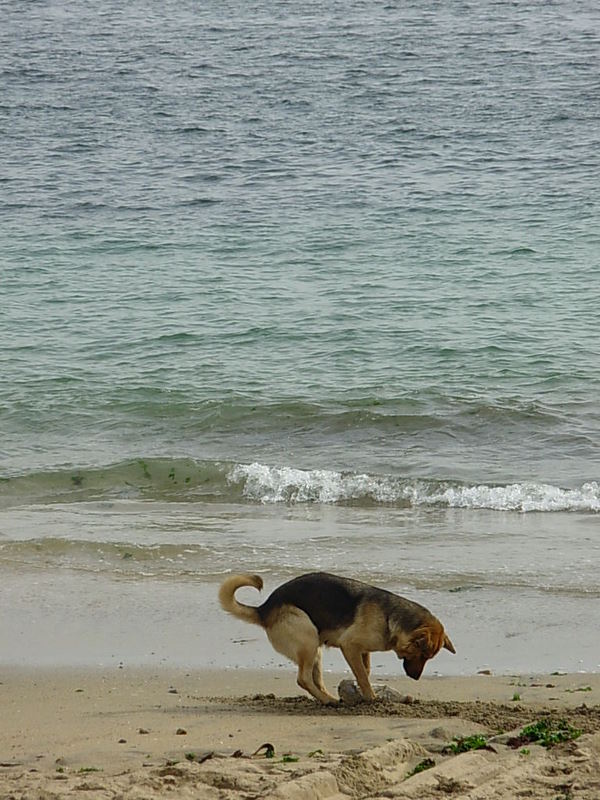 Foto de Horcon, Chile