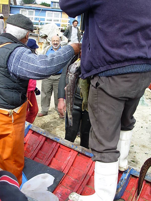 Foto de Horcon, Chile