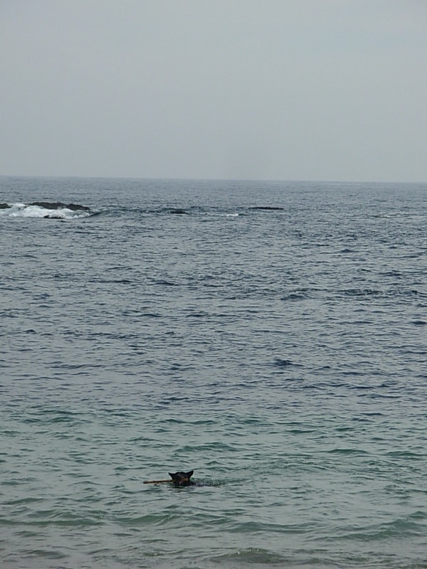 Foto de Horcon, Chile