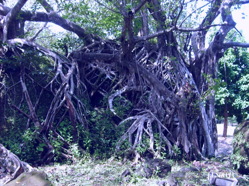 Foto de Puntarenas, Costa Rica