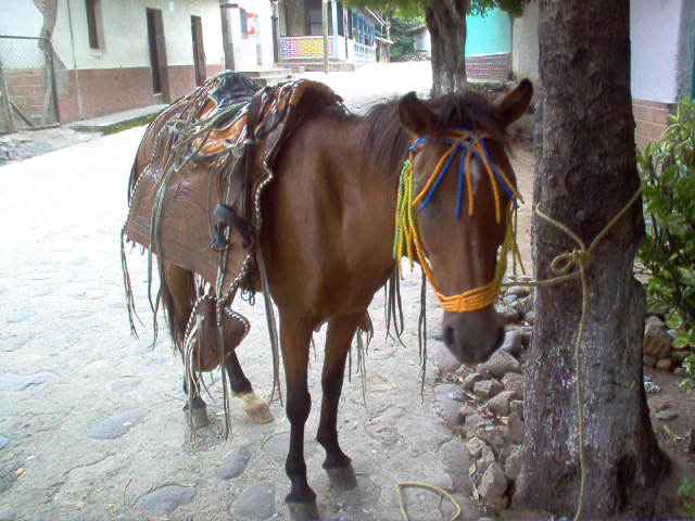 Foto de San Jose de Choluteca, Honduras