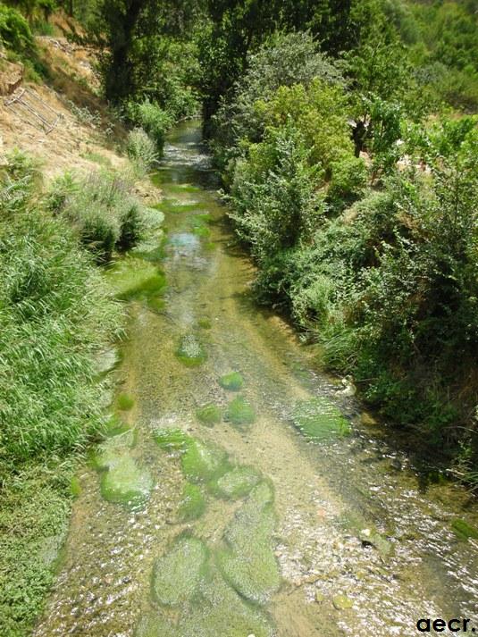 Foto de Somaén (Soria), España