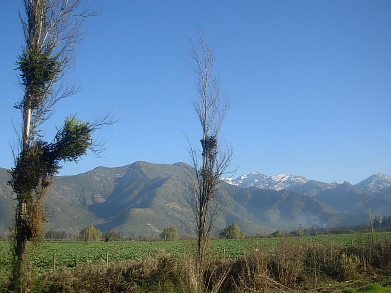 Foto de San Felipe, Chile