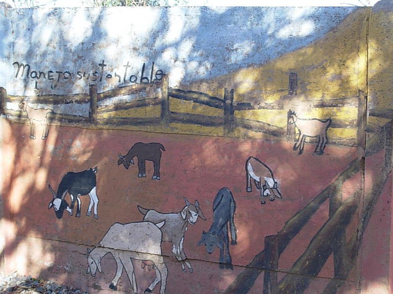 Foto de Putaendo, Chile