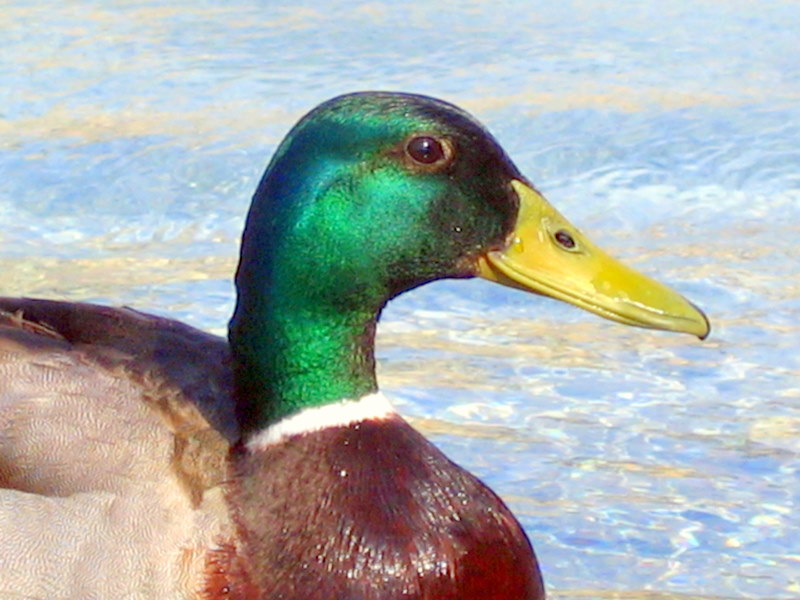 Foto de Paris, Francia