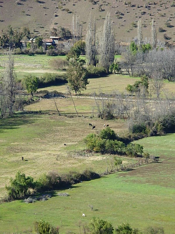 Foto de Putaendo, Chile