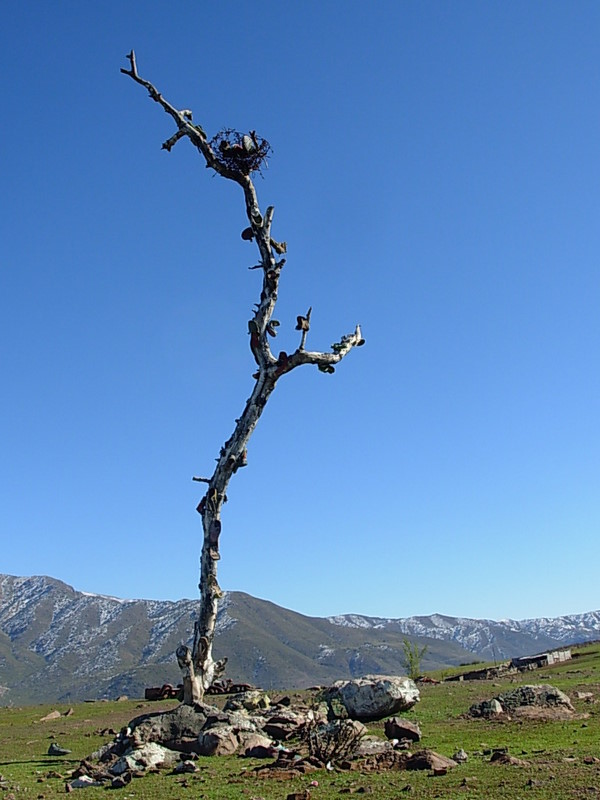 Foto de Putaendo, Chile