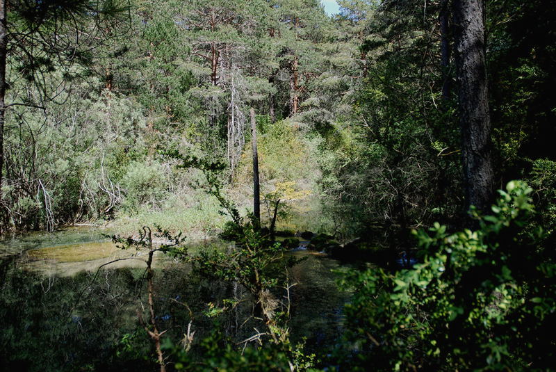 Foto de Cuenca (Castilla La Mancha), España