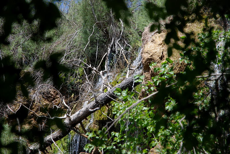 Foto de Cuenca (Castilla La Mancha), España