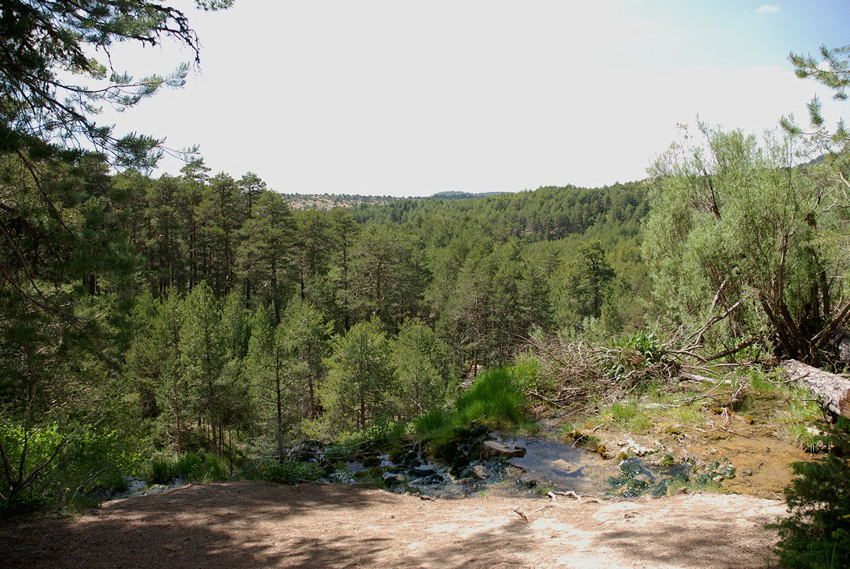 Foto de Cuenca (Castilla La Mancha), España