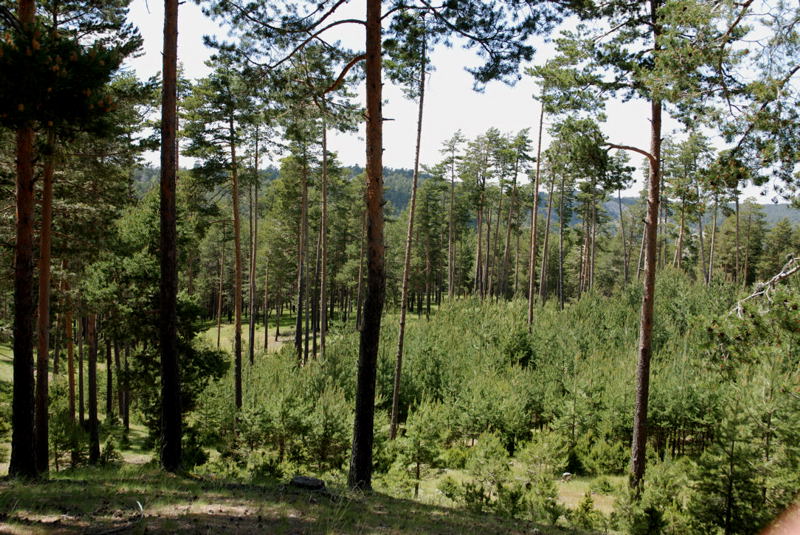 Foto de Poveda de la Sierra (Cuenca), España