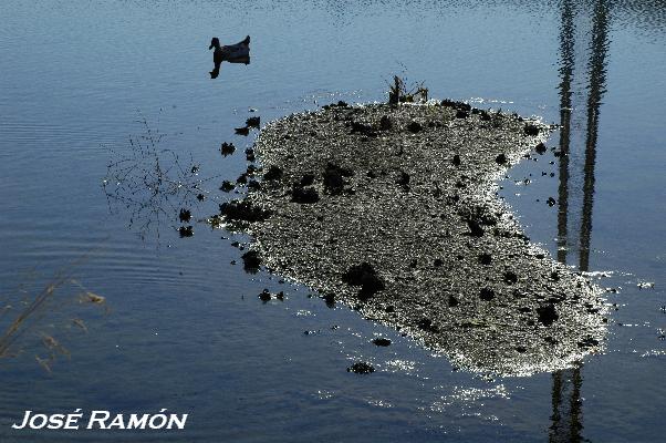 Foto de Puerto Real (Cádiz), España