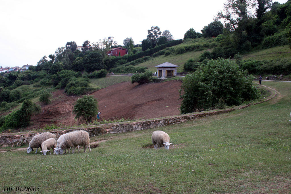 Foto de Oviedo (Asturias), España