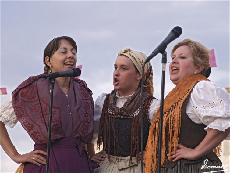 Foto de Alconchel de Ariza (Zaragoza), España