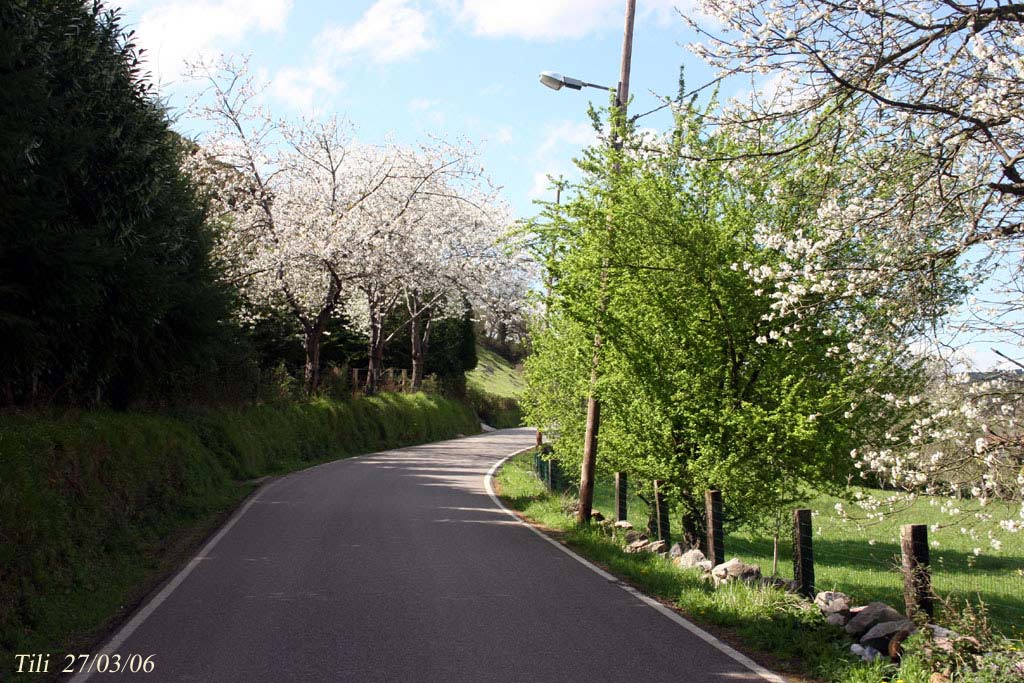 Foto de Figarines (Asturias), España