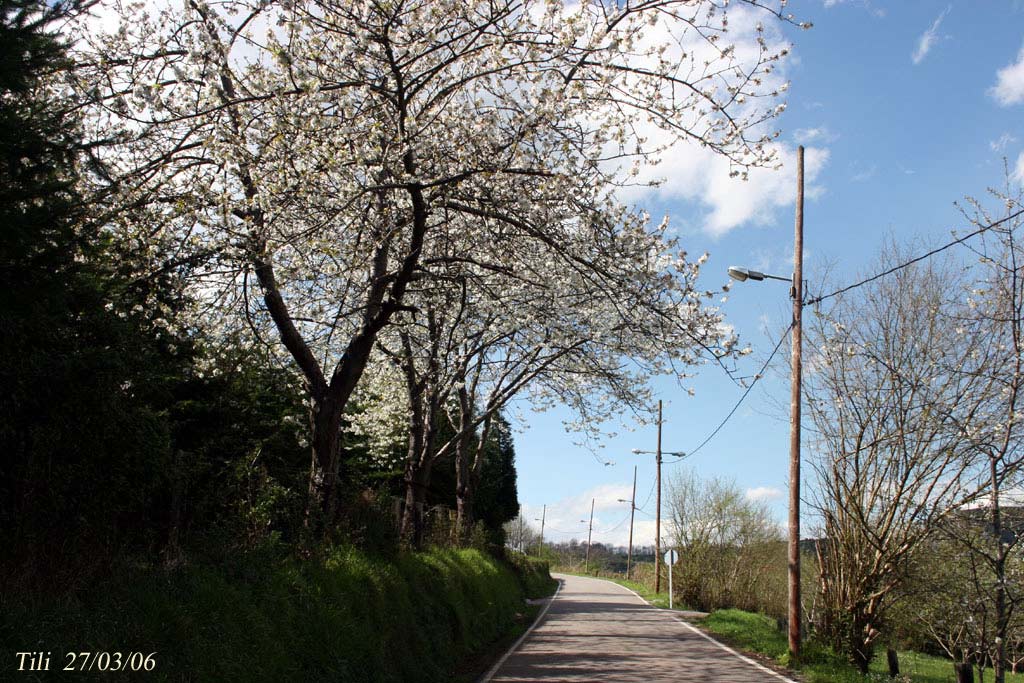 Foto de Figarines (Asturias), España
