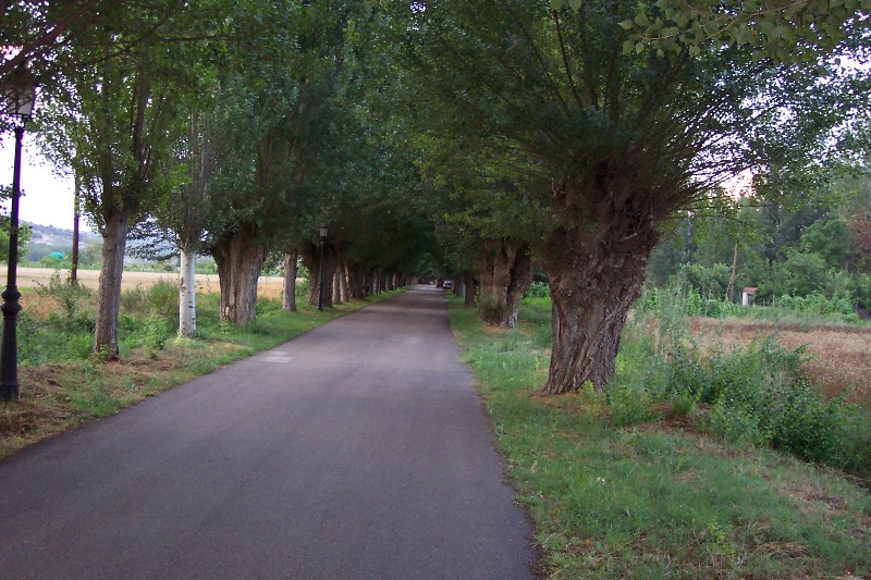 Foto de Baides (Guadalajara), España