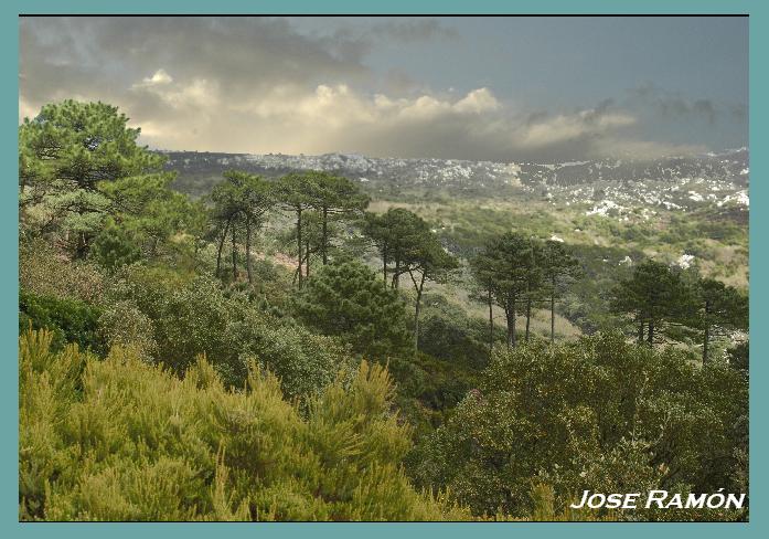 Foto de Algeciras (Cádiz), España