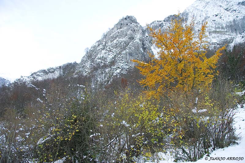 Foto de Quirós (Asturias), España